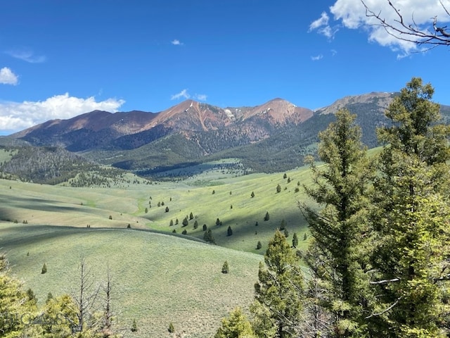 2544 N Camp Creek Rd, Melrose, MT 59742