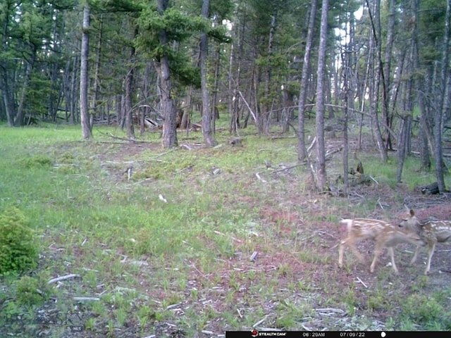 2544 N Camp Creek Rd, Melrose, MT 59742