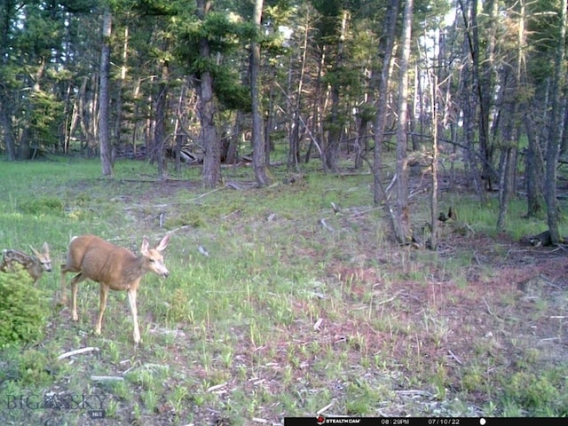 2544 N Camp Creek Rd, Melrose, MT 59742
