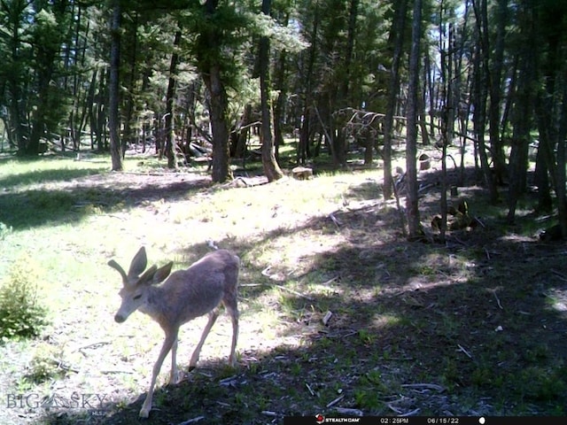 2544 N Camp Creek Rd, Melrose, MT 59742
