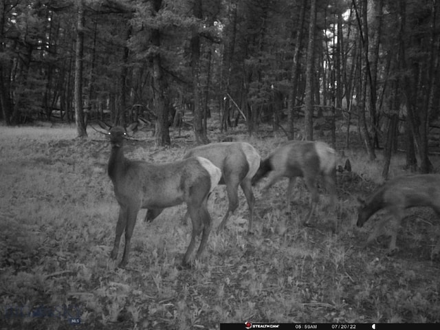 2544 N Camp Creek Rd, Melrose, MT 59742