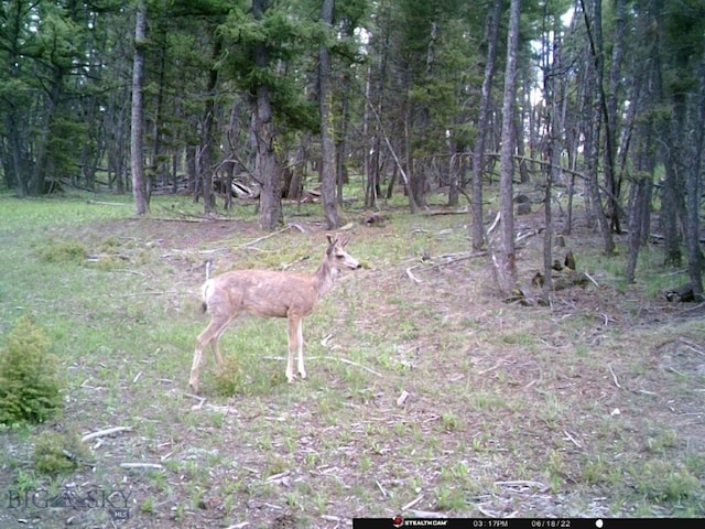2544 N Camp Creek Rd, Melrose, MT 59742
