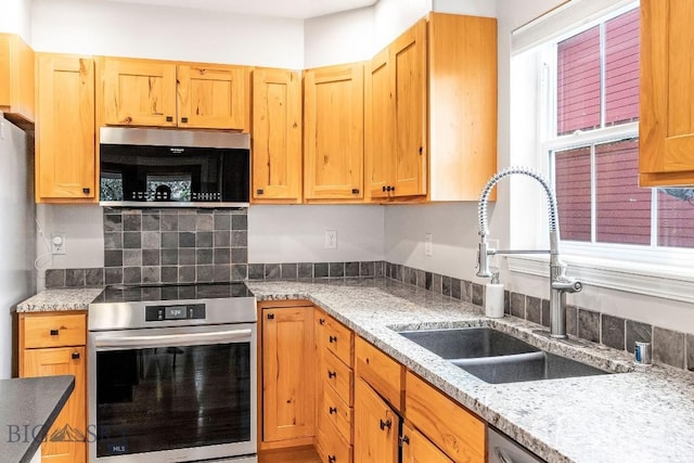 4619 Cascade St, Bozeman, MT 59718 - kitchen featuring appliances with stainless steel finishes, plenty of natural light, and light stone counters