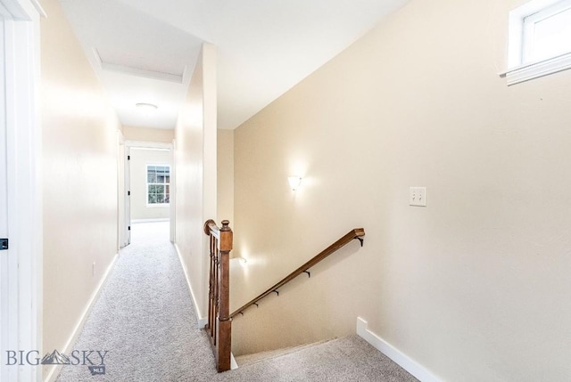 4619 Cascade St, Bozeman, MT 59718 - staircase with carpet and attic access