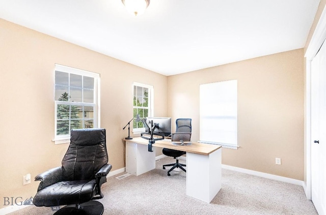 4619 Cascade St, Bozeman, MT 59718 - office area with light colored carpet and baseboards