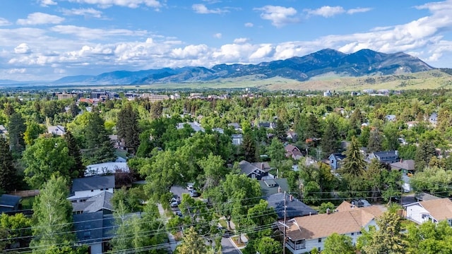 728 S Tracy Ave, Bozeman, MT 59715 - photo 92