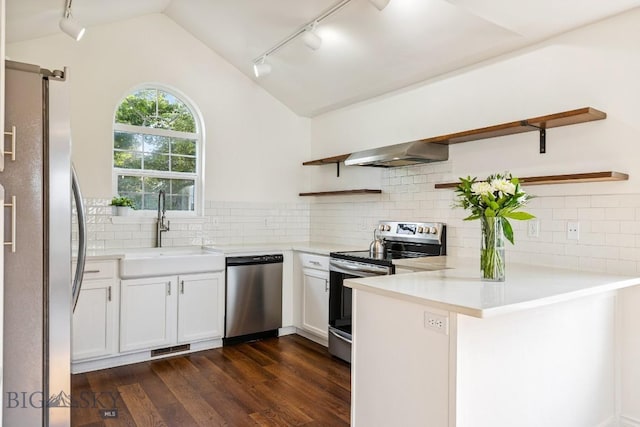 3601 Ravalli St, Bozeman, MT 59718 - kitchen with rail lighting, open shelves, stainless steel appliances, wall chimney exhaust hood, and a peninsula