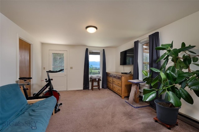 165 N Meadow Creek Rd, Mcallister, MT 59740 - living area featuring light carpet