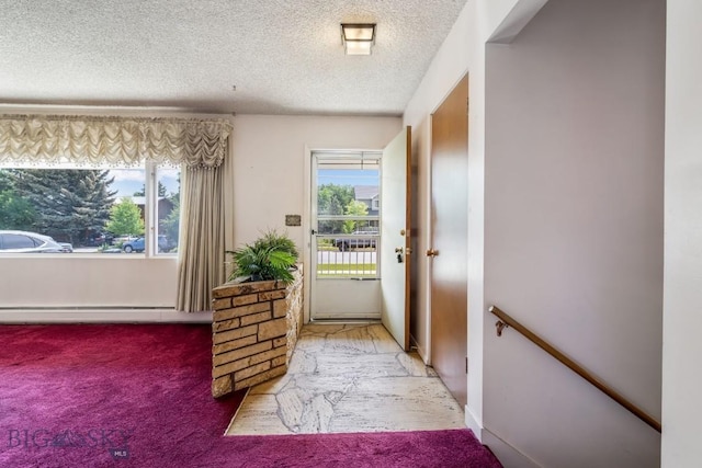 1721 S Willson Ave, Bozeman, MT 59715 - entryway featuring a baseboard radiator, a textured ceiling, plenty of natural light, and carpet flooring