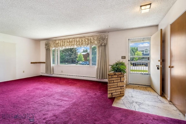 1721 S Willson Ave, Bozeman, MT 59715 - carpeted entrance foyer with a baseboard heating unit, healthy amount of natural light, and a textured ceiling