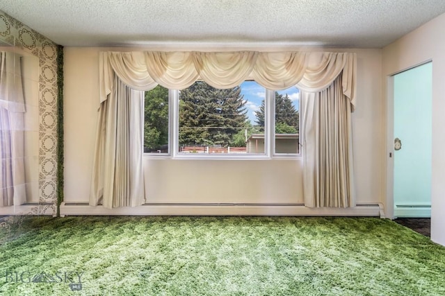 1721 S Willson Ave, Bozeman, MT 59715 - unfurnished dining area featuring a textured ceiling, plenty of natural light, baseboard heating, and carpet
