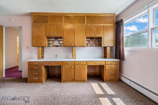 1721 S Willson Ave, Bozeman, MT 59715 - kitchen with baseboard heating, open shelves, light carpet, a textured ceiling, and light countertops