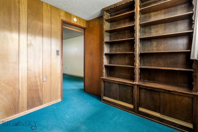 1721 S Willson Ave, Bozeman, MT 59715 - hall featuring carpet, wooden walls, and a textured ceiling