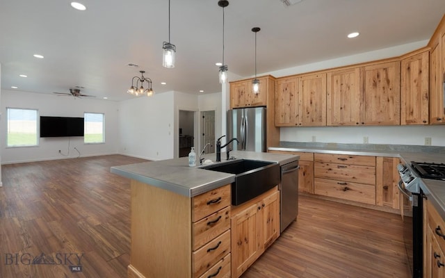 375 Price Rd, Three Forks, MT 59752 - kitchen with stainless steel appliances, wood finished floors, a ceiling fan, an island with sink, and hanging light fixtures