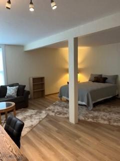 21 Sitting Bull Rd Unit 1233, Big Sky, MT 59716 - basement featuring wood finished floors