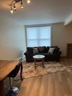 21 Sitting Bull Rd Unit 1233, Big Sky, MT 59716 - living room featuring wood finished floors