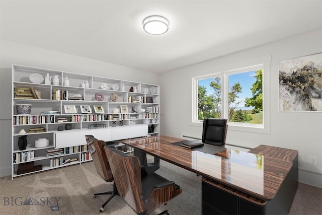 4901 Itana Cir, Bozeman, MT 59715 - view of carpeted home office