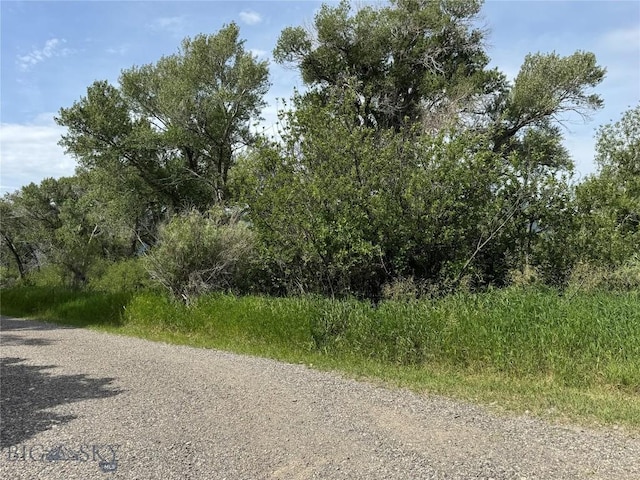 42 Strong Ln, Livingston, MT 59047 - photo 27