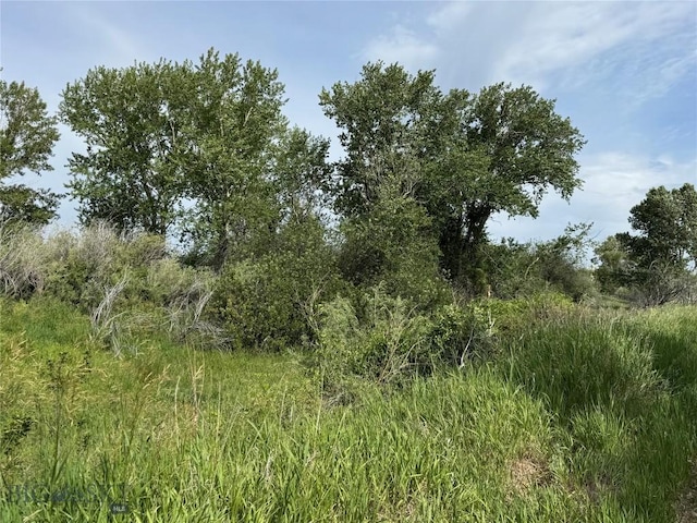42 Strong Ln, Livingston, MT 59047 - photo 45