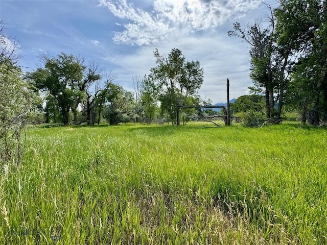 42 Strong Ln, Livingston, MT 59047 - photo 58