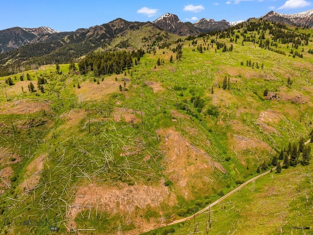 NHN Peak Point Dr Lot 1, Livingston, MT 59047 - photo 51