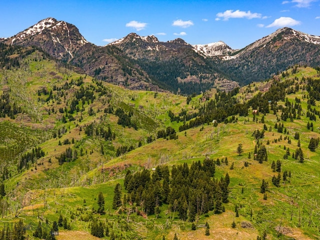 NHN Peak Point Dr Lot 1, Livingston, MT 59047 - photo 52