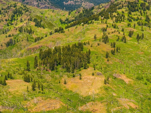 NHN Peak Point Dr Lot 1, Livingston, MT 59047 - photo 53