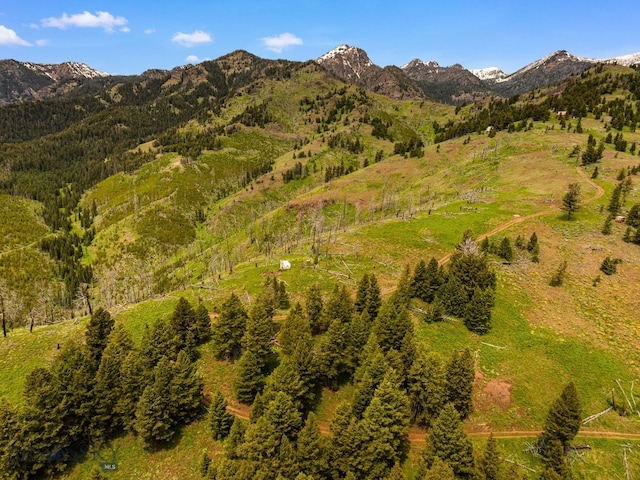 NHN Peak Point Dr Lot 1, Livingston, MT 59047 - photo 54