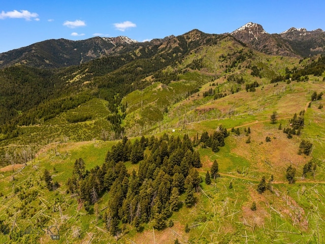NHN Peak Point Dr Lot 1, Livingston, MT 59047 - photo 55
