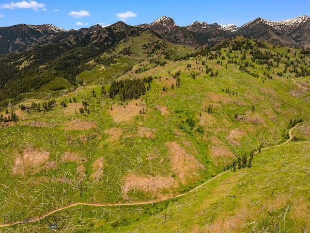 NHN Peak Point Dr Lot 1, Livingston, MT 59047 - photo 56