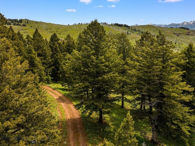 NHN Peak Point Dr Lot 1, Livingston, MT 59047 - photo 57