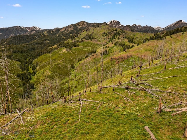 NHN Peak Point Dr Lot 1, Livingston, MT 59047 - photo 58