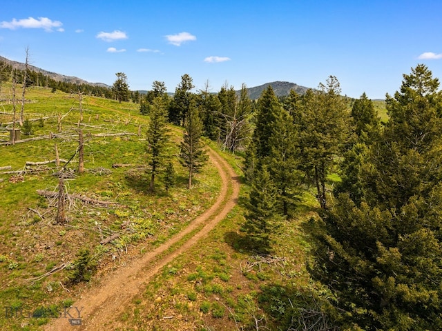 NHN Peak Point Dr Lot 1, Livingston, MT 59047 - photo 59