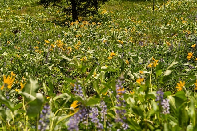 NHN Peak Point Dr Lot 1, Livingston, MT 59047 - photo 28