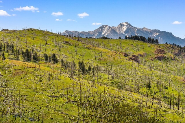 NHN Peak Point Dr Lot 1, Livingston, MT 59047 - photo 32