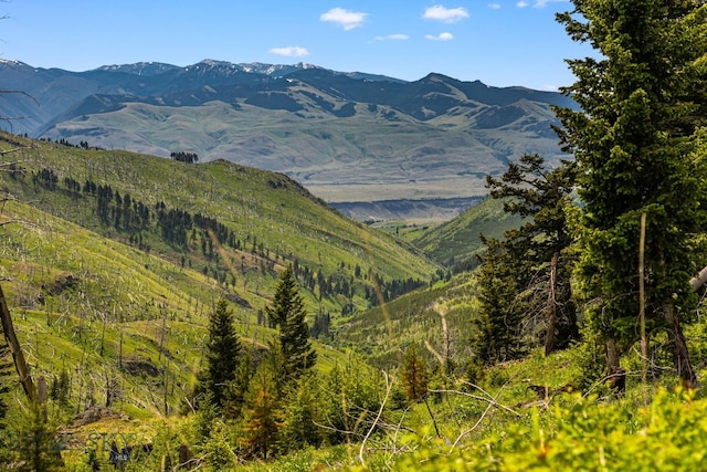 NHN Peak Point Dr Lot 1, Livingston, MT 59047 - photo 33