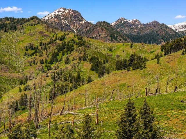 NHN Peak Point Dr Lot 1, Livingston, MT 59047 - photo 35