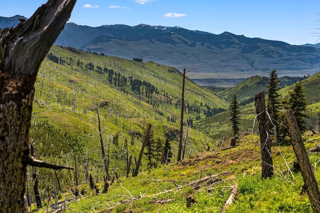 NHN Peak Point Dr Lot 1, Livingston, MT 59047 - photo 11