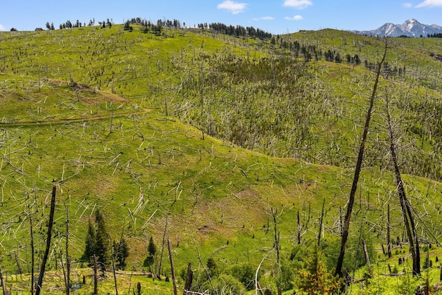 NHN Peak Point Dr Lot 1, Livingston, MT 59047 - photo 12