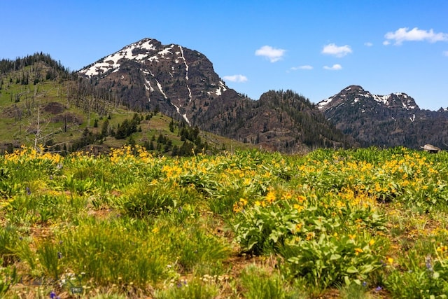 NHN Peak Point Dr Lot 1, Livingston, MT 59047 - photo 1