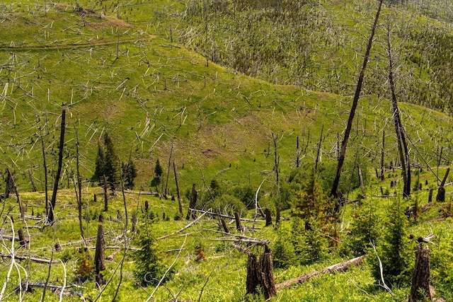 NHN Peak Point Dr Lot 1, Livingston, MT 59047 - photo 16