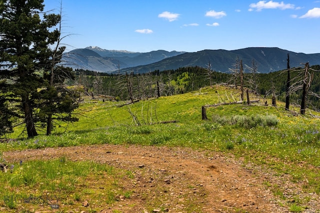 NHN Peak Point Dr Lot 1, Livingston, MT 59047 - photo 21