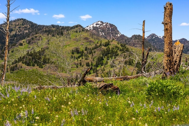 NHN Peak Point Dr Lot 1, Livingston, MT 59047 - photo 22