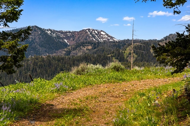 NHN Peak Point Dr Lot 1, Livingston, MT 59047 - photo 5