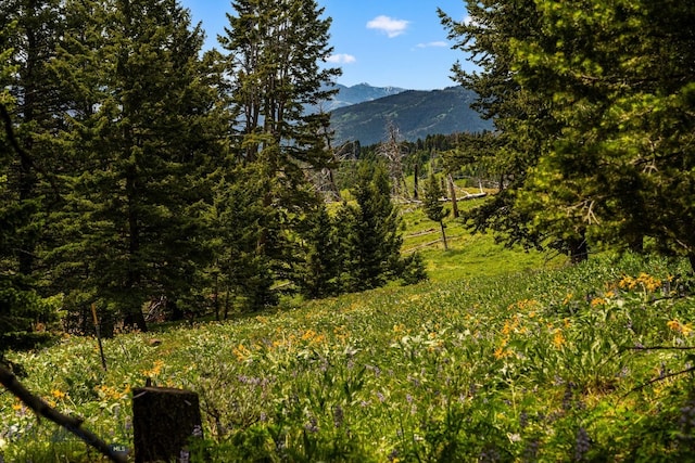 NHN Peak Point Dr Lot 1, Livingston, MT 59047 - photo 25