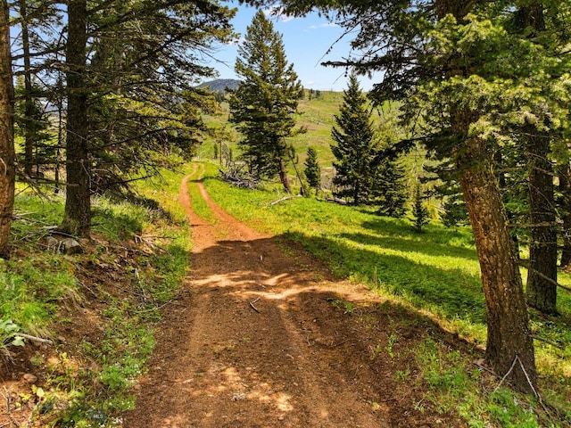 NHN Peak Point Dr Lot 1, Livingston, MT 59047 - photo 36