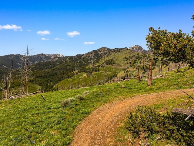 NHN Peak Point Dr Lot 1, Livingston, MT 59047 - photo 38