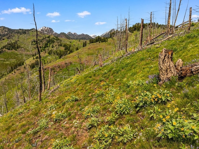 NHN Peak Point Dr Lot 1, Livingston, MT 59047 - photo 40