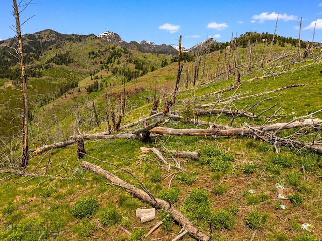 NHN Peak Point Dr Lot 1, Livingston, MT 59047 - photo 41