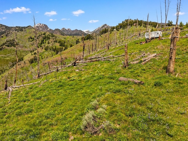 NHN Peak Point Dr Lot 1, Livingston, MT 59047 - photo 42
